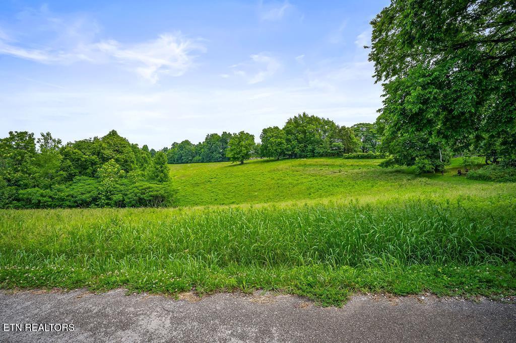 9199 Fox Hill Road Baxter, TN 38544 - Photo 2 of 16 227579_0