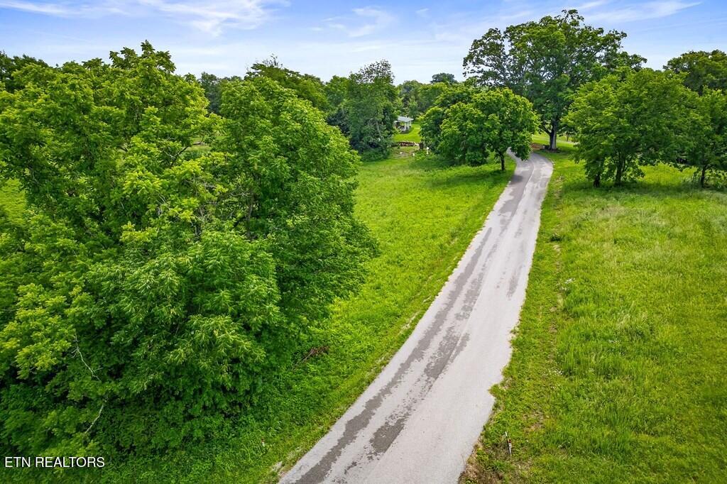 9199 Fox Hill Road Baxter, TN 38544 - Photo 3 of 16 227579_1