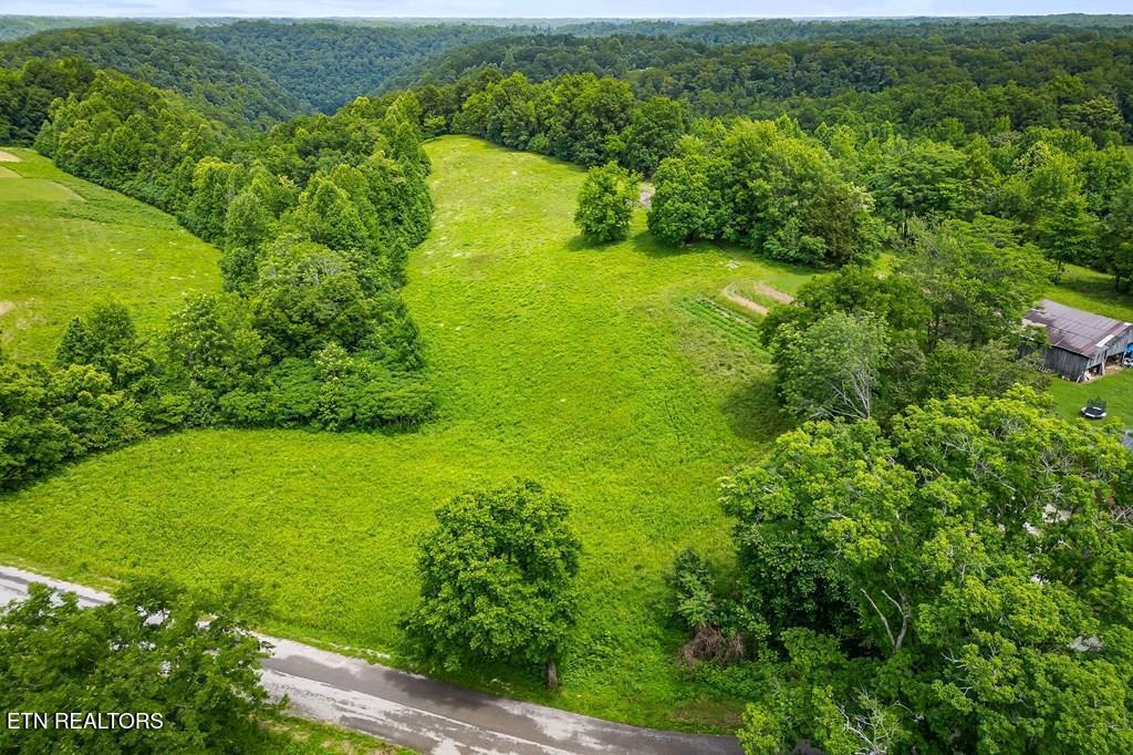 9199 Fox Hill Road Baxter, TN 38544 - Photo 4 of 16 227579_2