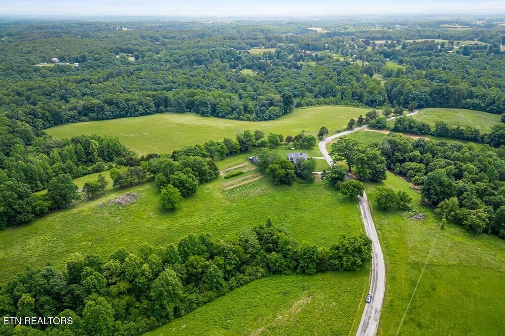 9199 Fox Hill Road Baxter, TN 38544 - Photo 8 of 16 227579_7