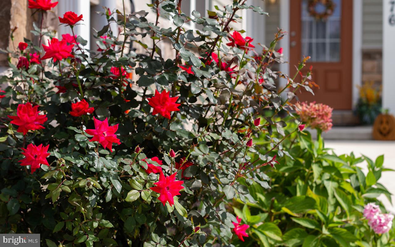 376 Pin Oak Drive Lititz, PA 17543 - Photo 50 of 67 Gallery Image 50
