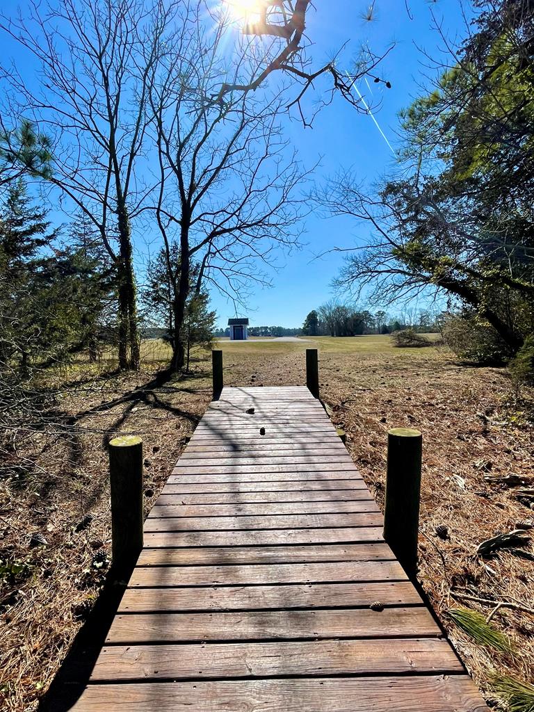 Lot 31 Miles Road, Unit 31 New Church, VA 23415 - Photo 14 of 24