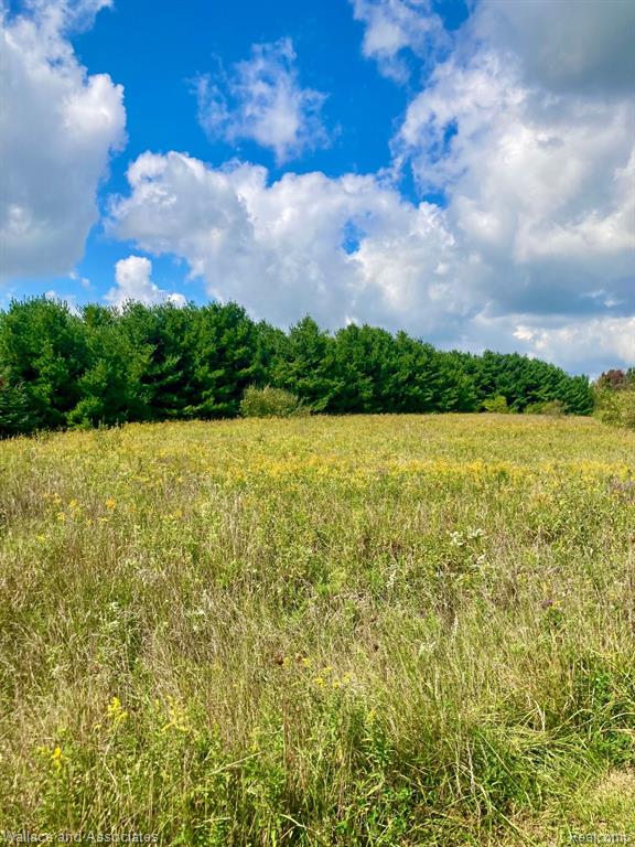 V/l Gardner Line Road Croswell, MI 48422 - Photo 1 of 6