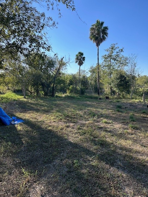 9651 County Road 505 Mathis, TX 78368 - Photo 16 of 19 water front