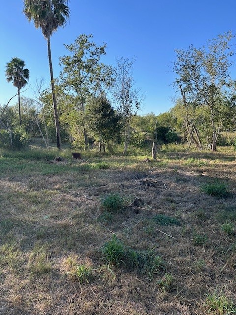 9651 County Road 505 Mathis, TX 78368 - Photo 17 of 19