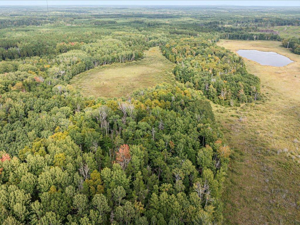 Parcel G East Horseshoe Lake Road Merrifield, MN 56465 - Photo 8 of 28 Gallery Image 8