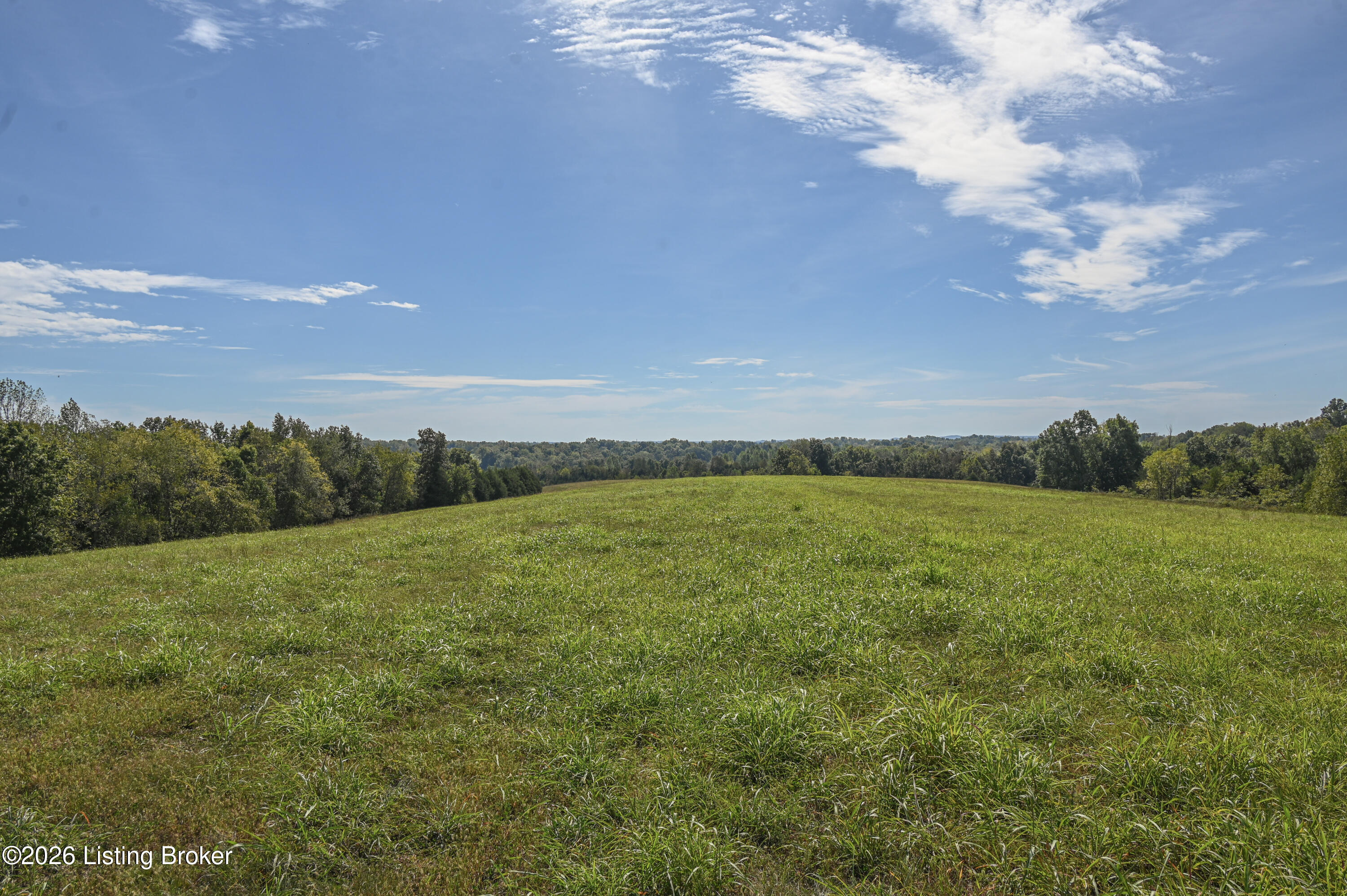1925 Tick Creek Road Springfield, KY 40069 - Photo 24 of 30 11-DSC_2419