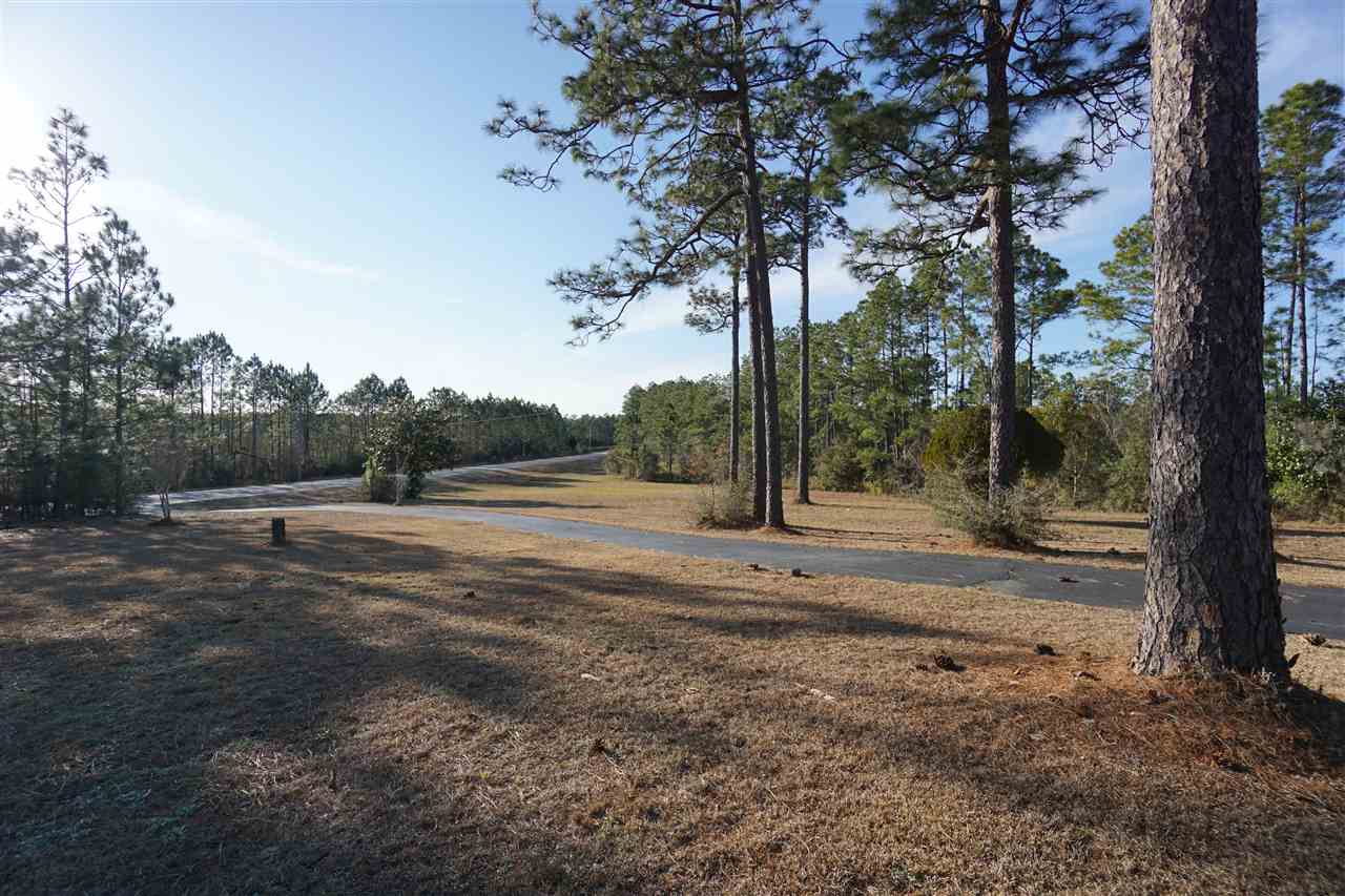 31079 Highway 90 Seminole, AL 36574 - Photo 8 of 33