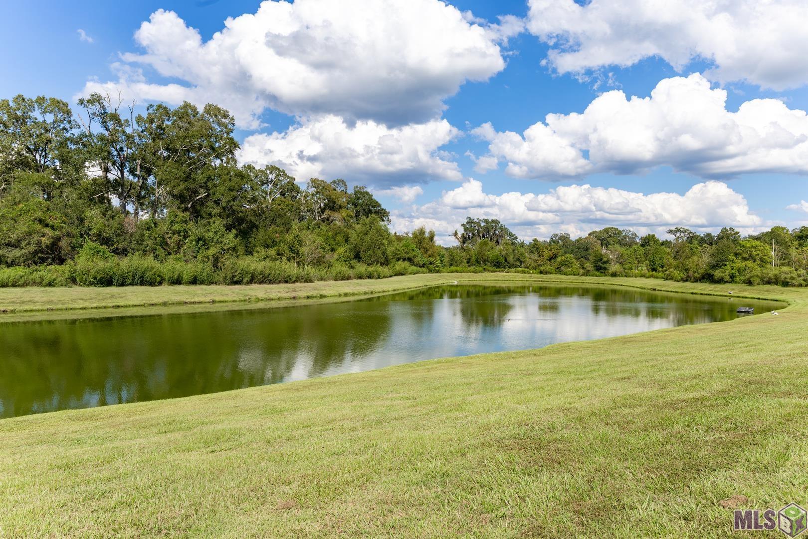 38451 Brown Road Prairieville, LA 70769 - Photo 29 of 30