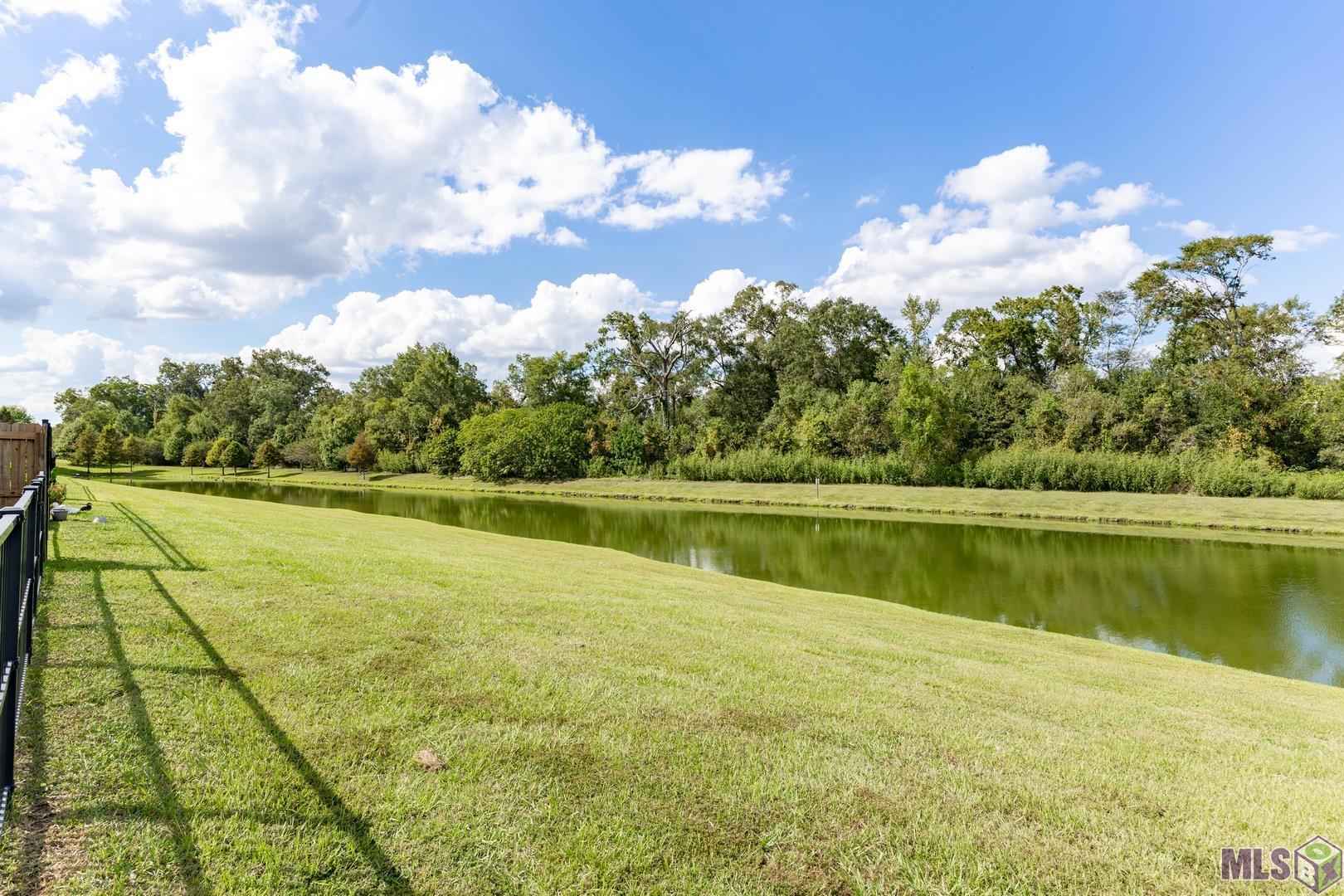 38451 Brown Road Prairieville, LA 70769 - Photo 30 of 30