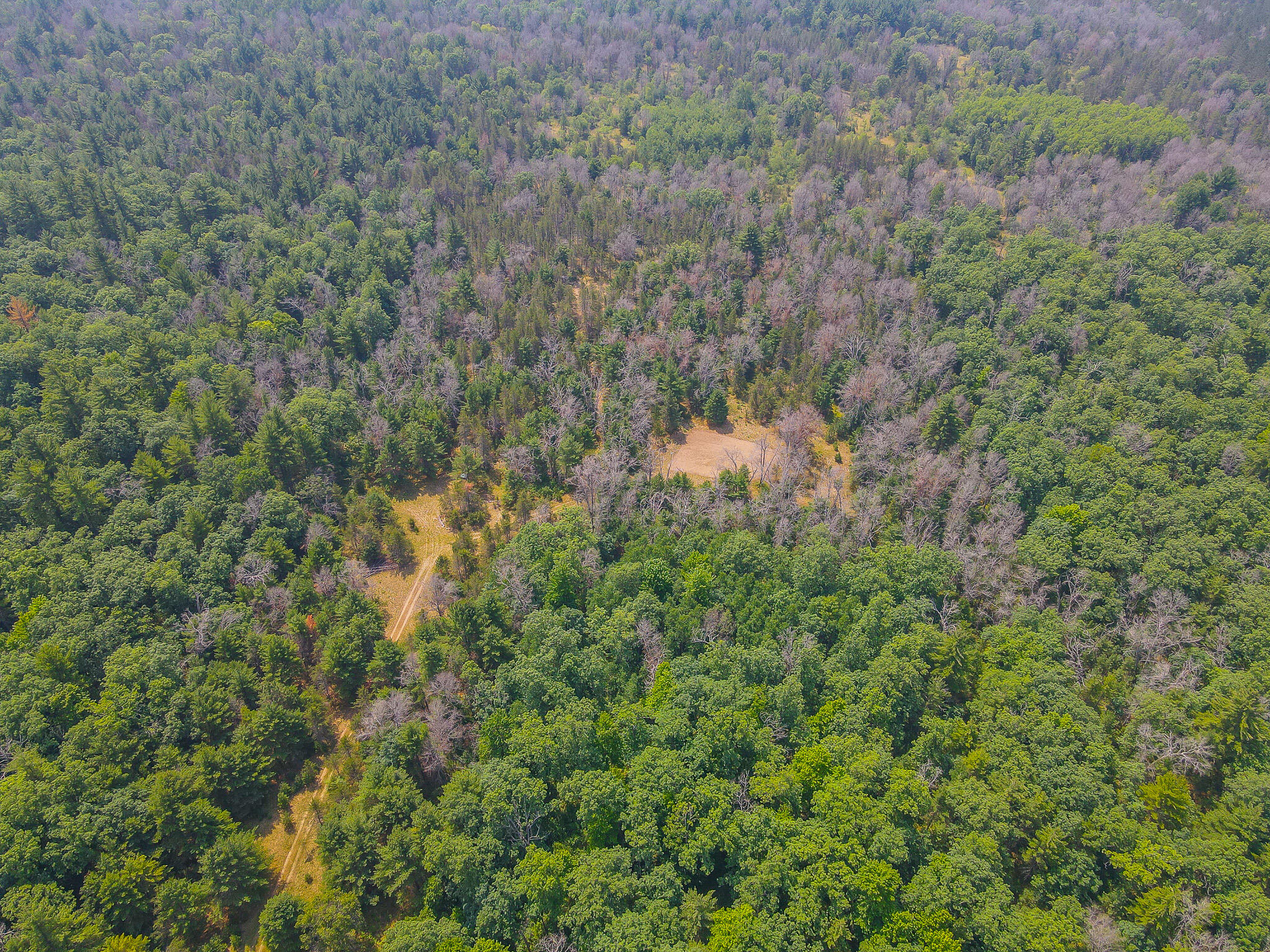 48 West 48 1/2 Road Wellston, MI 49689 - Photo 13 of 21 DJI_0434