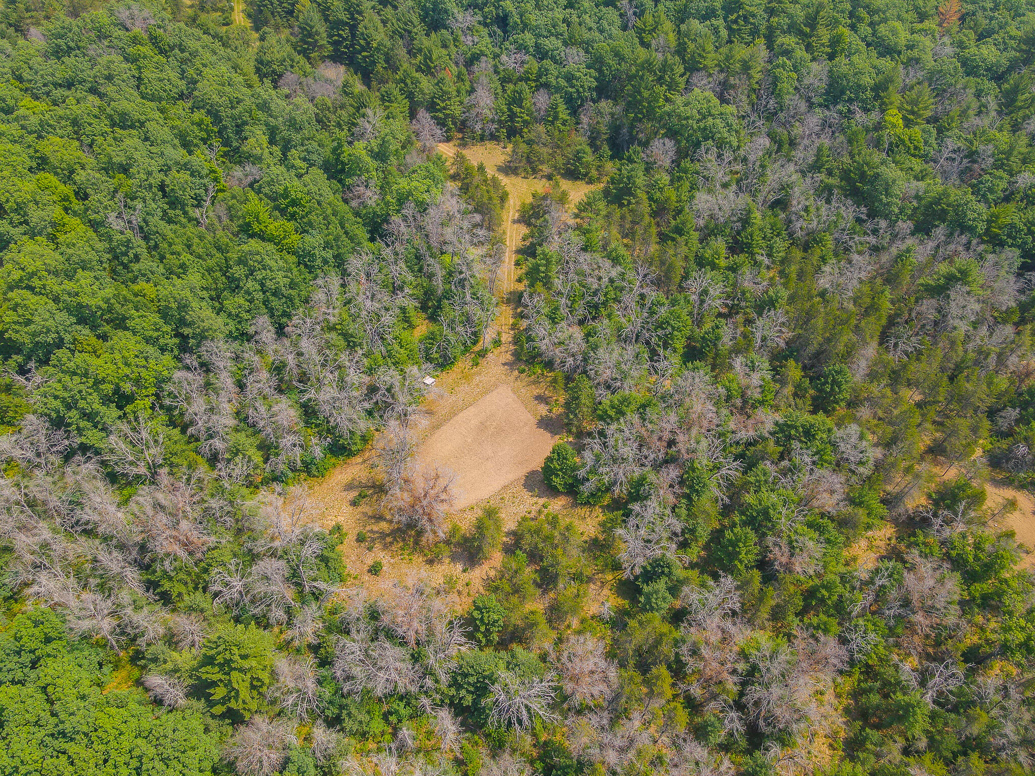 48 West 48 1/2 Road Wellston, MI 49689 - Photo 16 of 21 DJI_0437