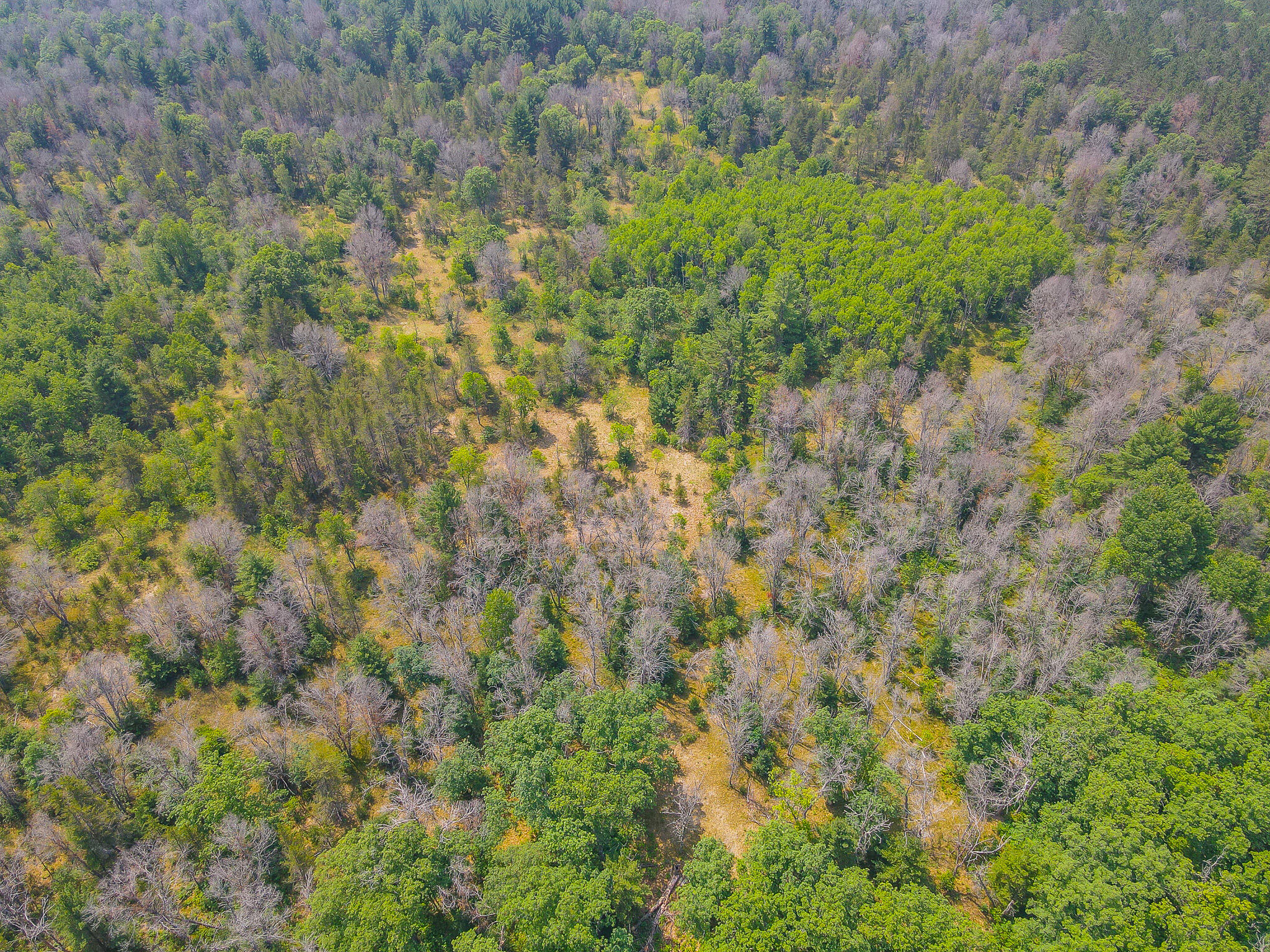 48 West 48 1/2 Road Wellston, MI 49689 - Photo 17 of 21 DJI_0438