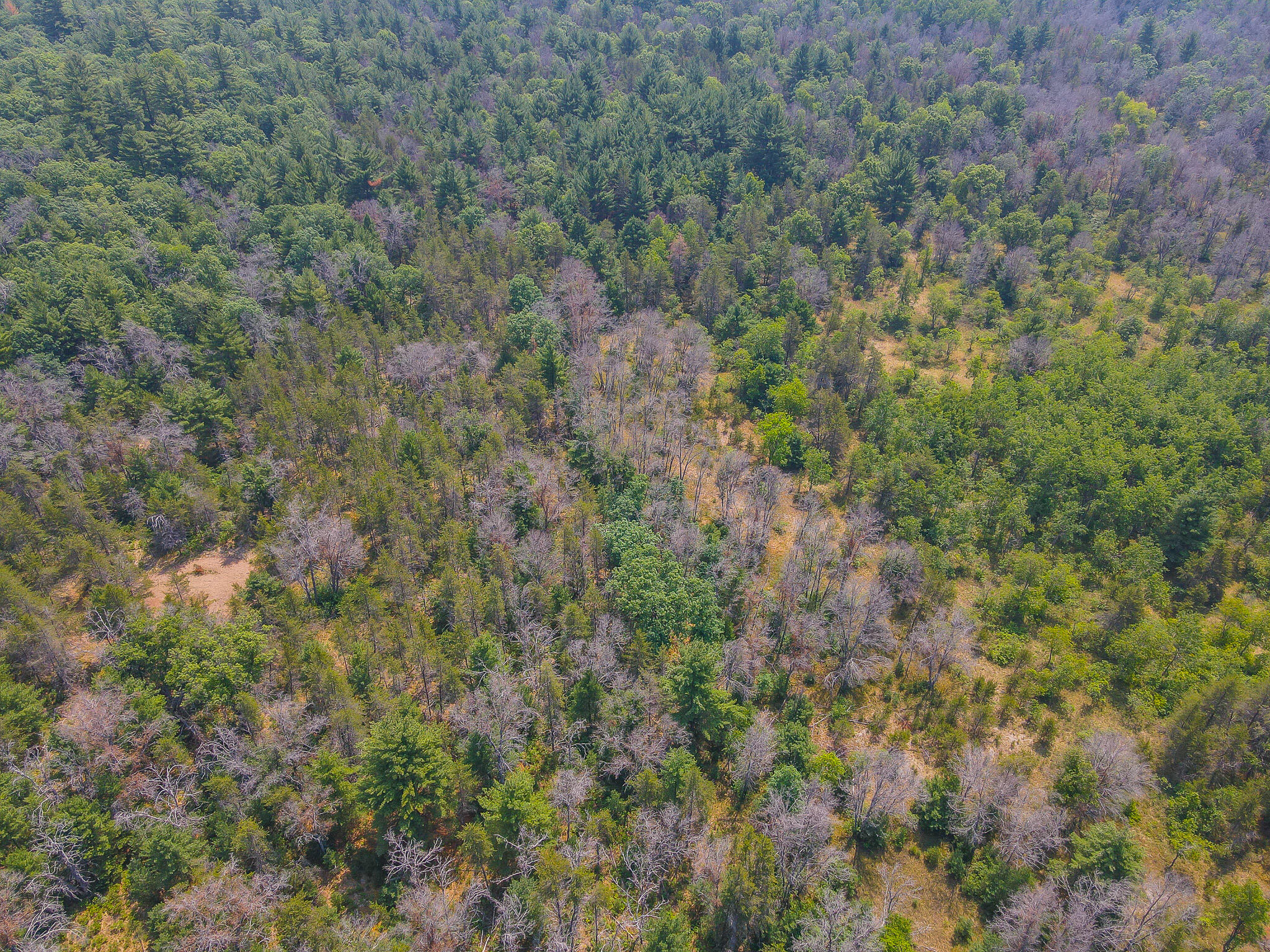 48 West 48 1/2 Road Wellston, MI 49689 - Photo 18 of 21 DJI_0439
