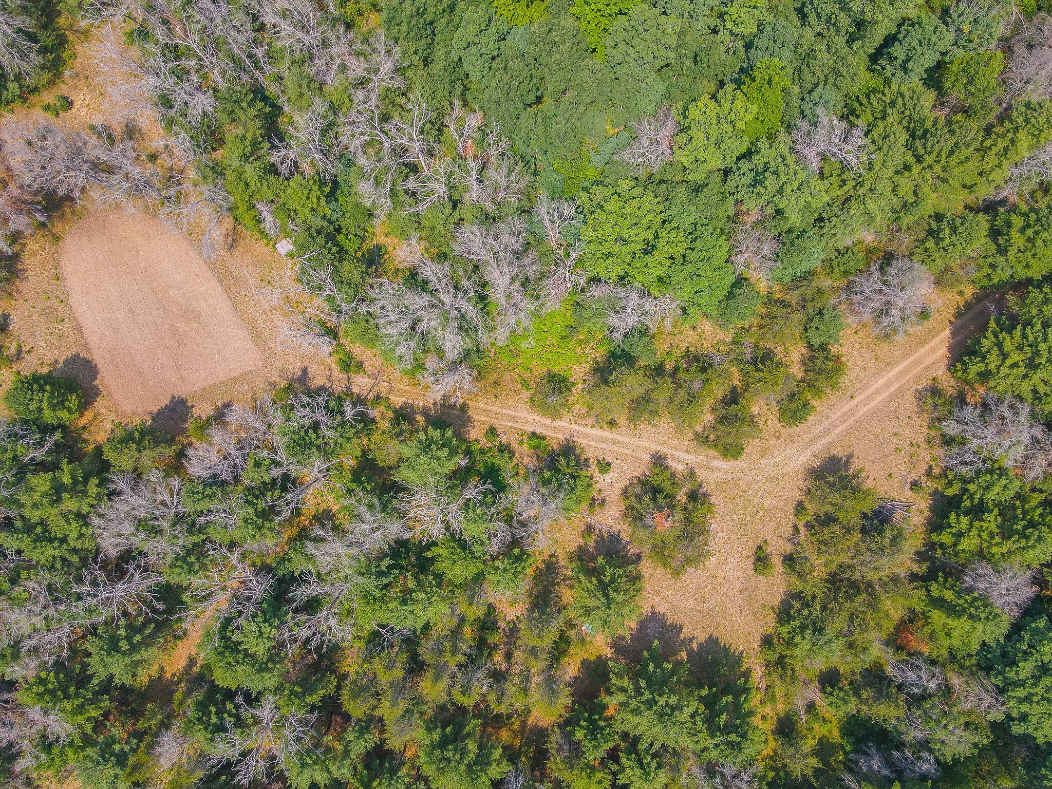 48 West 48 1/2 Road Wellston, MI 49689 - Photo 19 of 21 DJI_0452