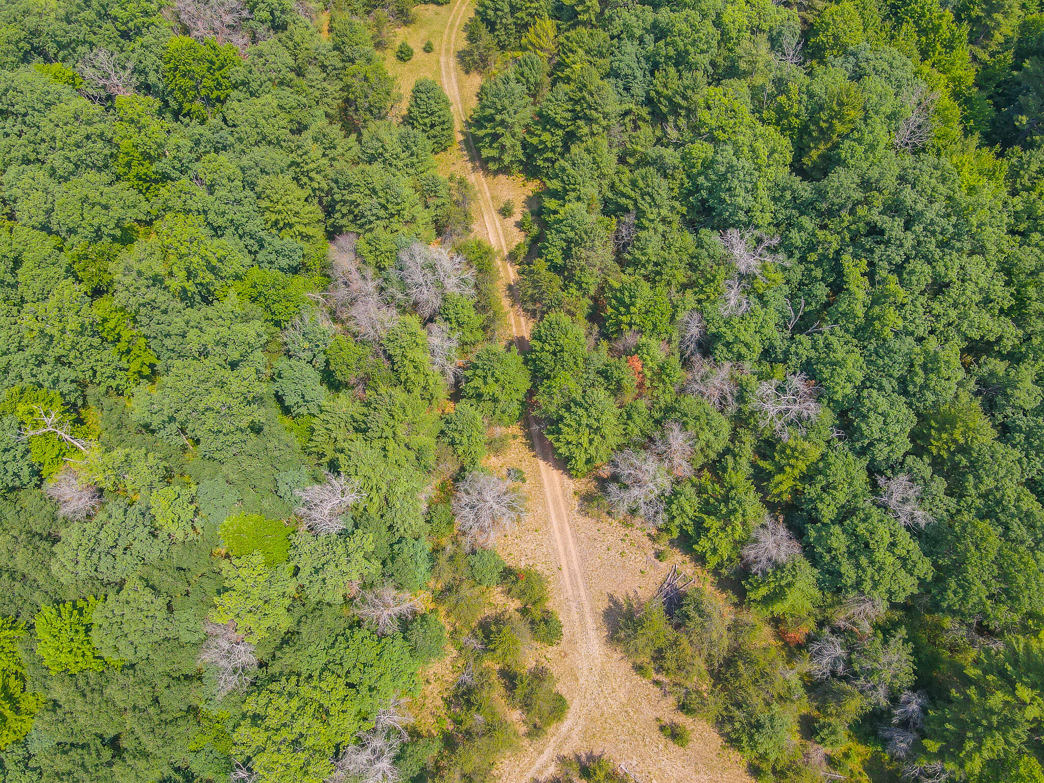 48 West 48 1/2 Road Wellston, MI 49689 - Photo 20 of 21 DJI_0453