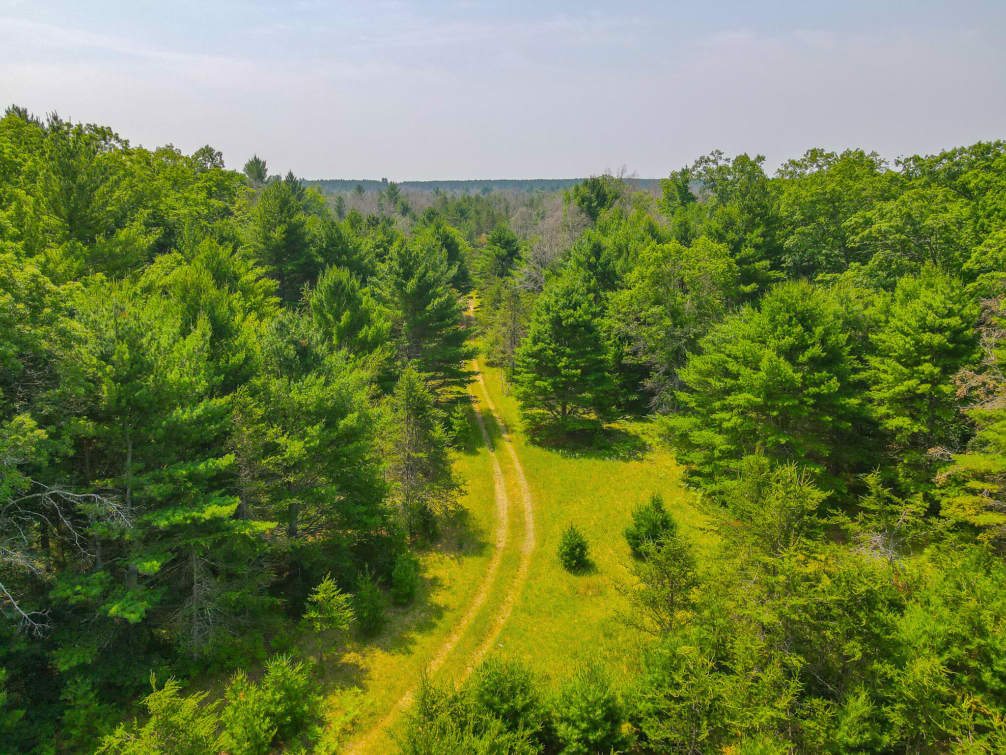 48 West 48 1/2 Road Wellston, MI 49689 - Photo 3 of 21 DJI_0430