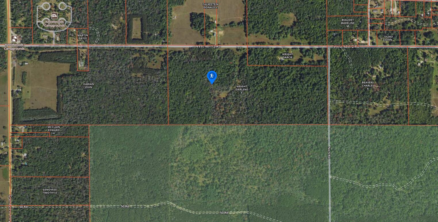 48 West 48 1/2 Road Wellston, MI 49689 - Photo 4 of 21 VL West 48 12 Rd 70A