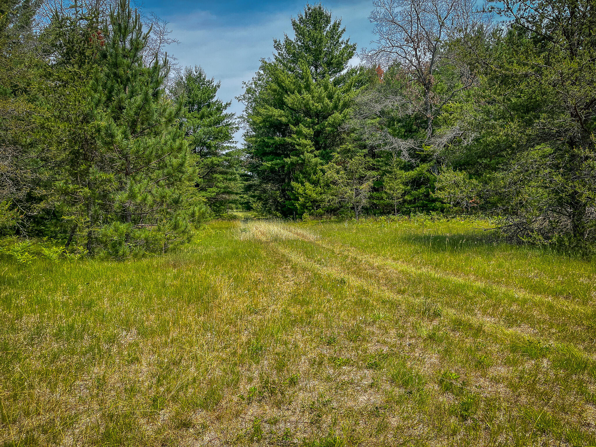 48 West 48 1/2 Road Wellston, MI 49689 - Photo 5 of 21 IMG_8921