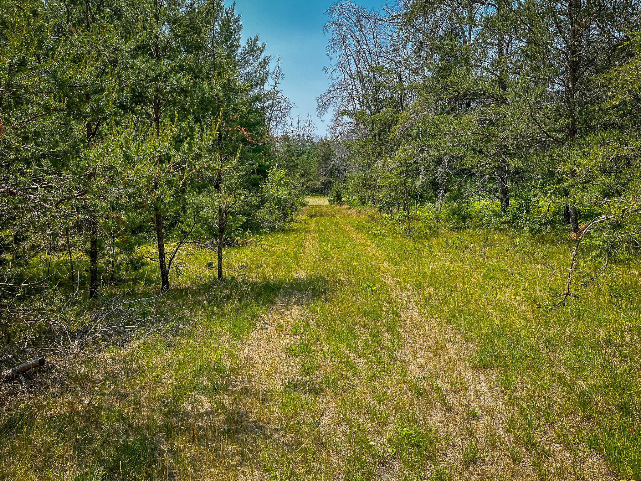 48 West 48 1/2 Road Wellston, MI 49689 - Photo 6 of 21 IMG_8922