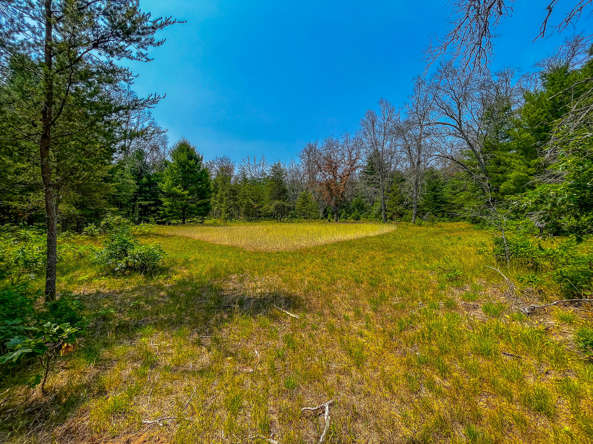 48 West 48 1/2 Road Wellston, MI 49689 - Photo 8 of 21 IMG_8927
