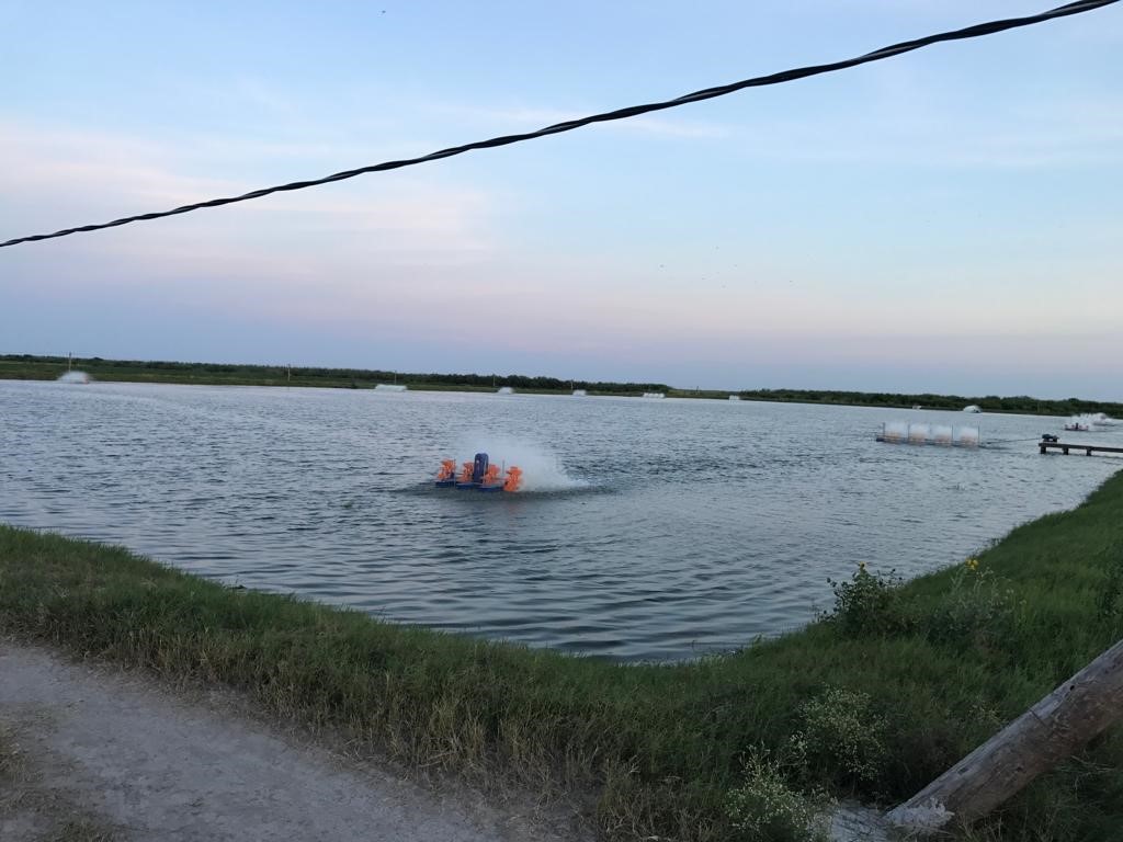 7979 Goyo Garcia Road Raymondville, TX 78580 - Photo 11 of 16 a view of beach and lake