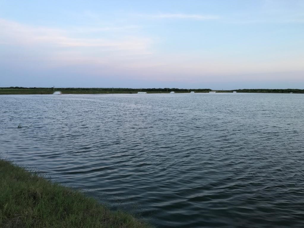 7979 Goyo Garcia Road Raymondville, TX 78580 - Photo 12 of 16 a view of an ocean