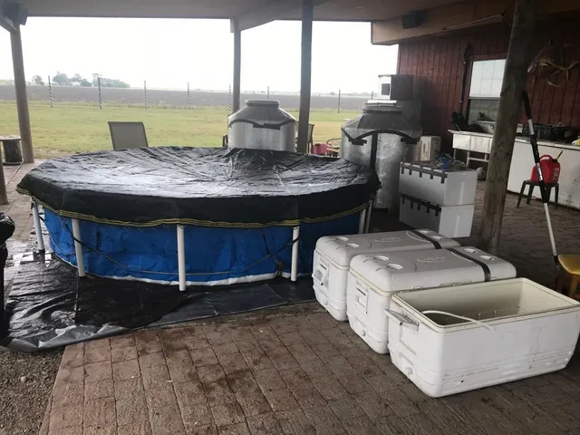 $980,000 | 7979 Goyo Garcia Road, Raymondville, TX 78580