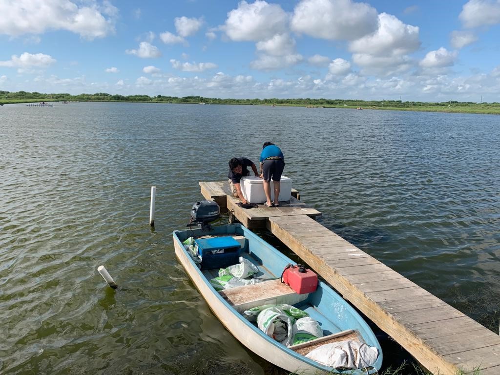 7979 Goyo Garcia Road Raymondville, TX 78580 - Photo 15 of 16 a view of a lake from a balcony
