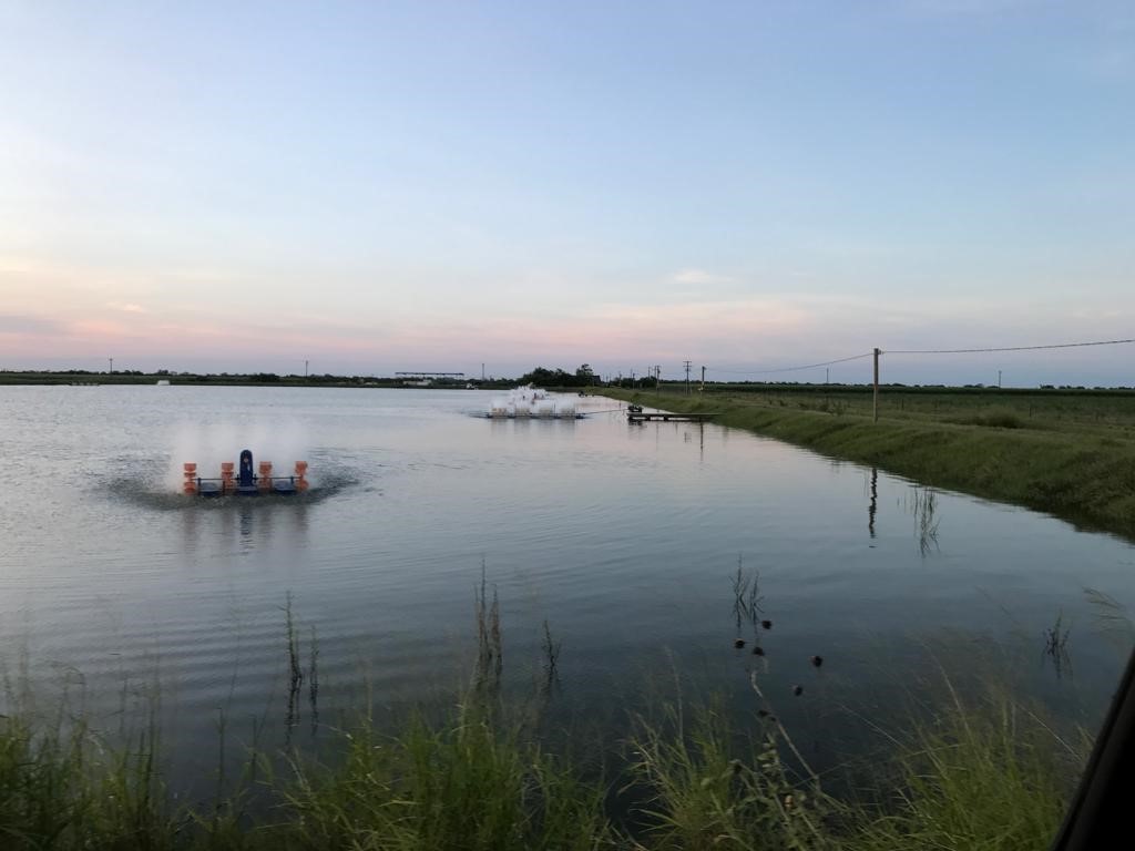 7979 Goyo Garcia Road Raymondville, TX 78580 - Photo 4 of 16 a view of a lake with sunset in background