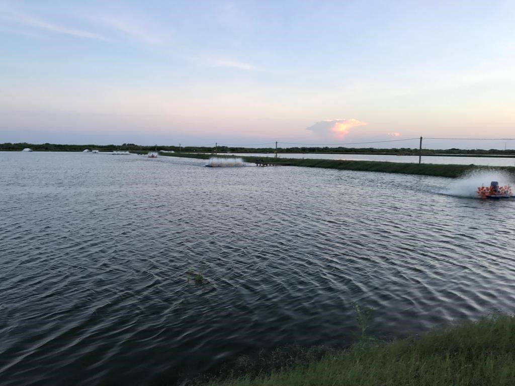 7979 Goyo Garcia Road Raymondville, TX 78580 - Photo 5 of 16 a view of a lake view