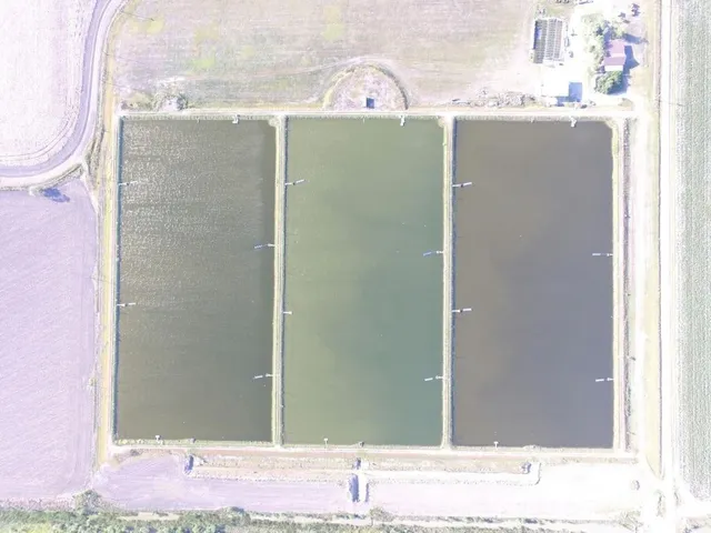 a ocean view with lake view