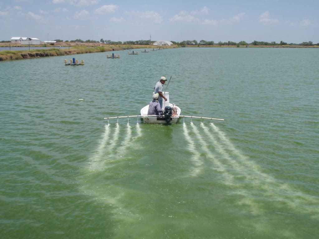 7979 Goyo Garcia Road Raymondville, TX 78580 - Photo 7 of 16 a ocean view with lake view