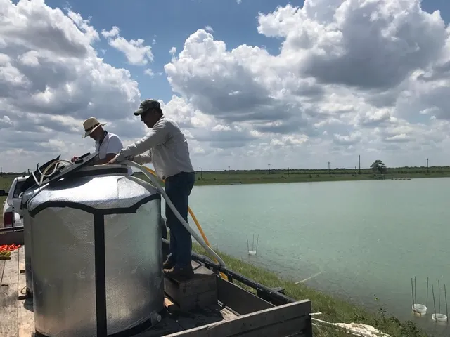 a view of beach and lake