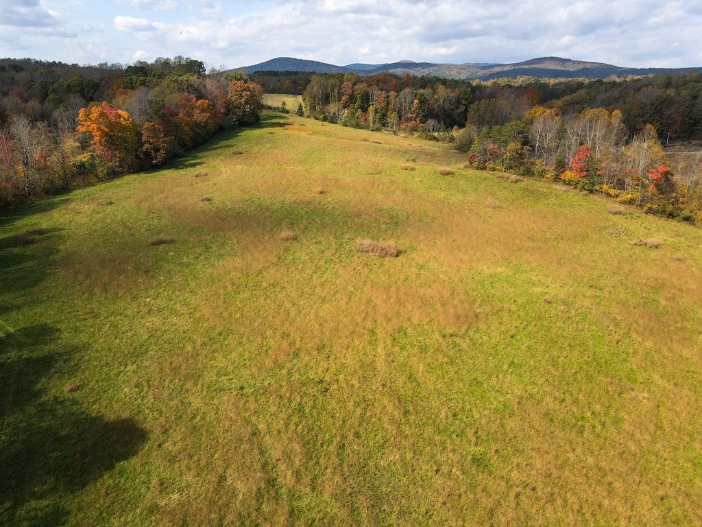 Hardin Reynolds Road Critz, VA 24082 - Photo 27 of 30 Gallery Image 27