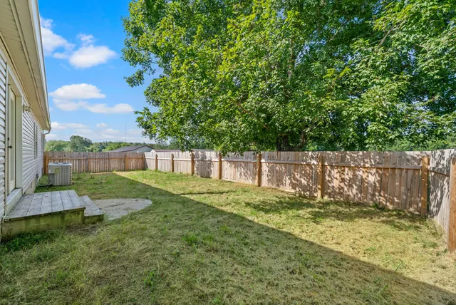 a view of a backyard with plants and a large tree