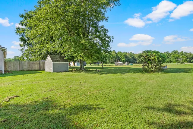 a view of a park with large trees