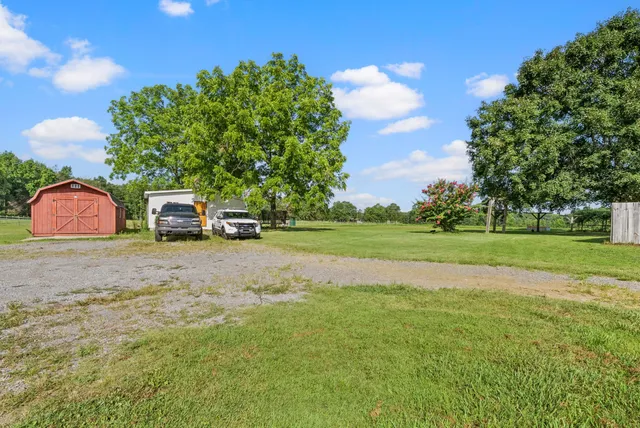 a view of a backyard with a fence and a large tree