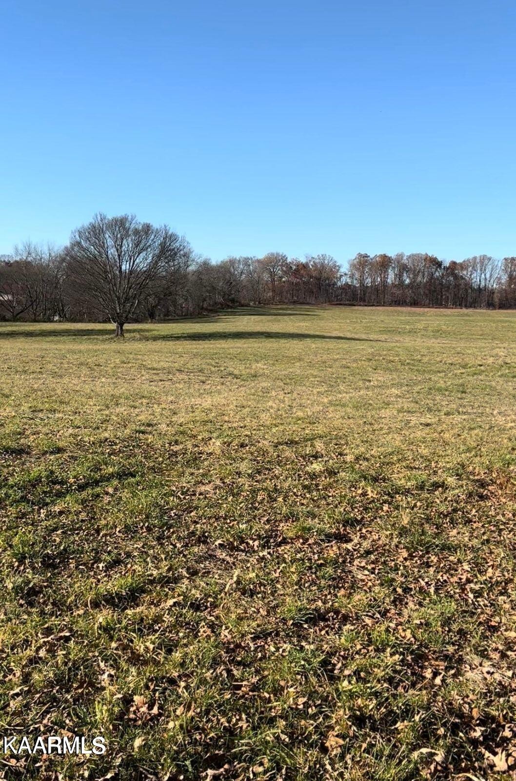 11 Temple Road Seymour, TN 37865 - Photo 1 of 1 Gallery Image 1