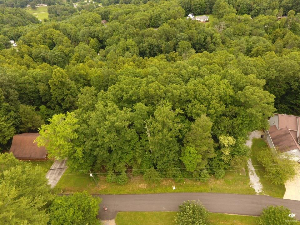 Tbd Dameron Ridge Road Erwin, TN 37650 - Photo 1 of 7 IMG-0123