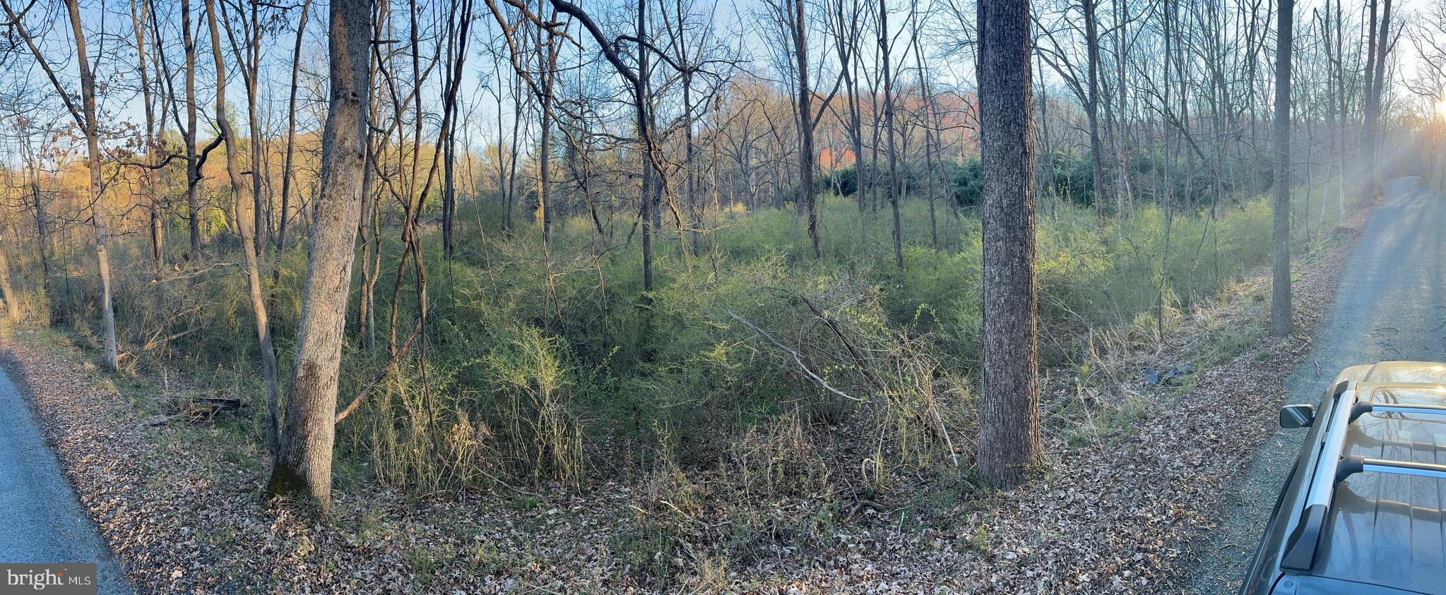 Green Road White Hall, MD 21161 - Photo 1 of 1 Gallery Image 1