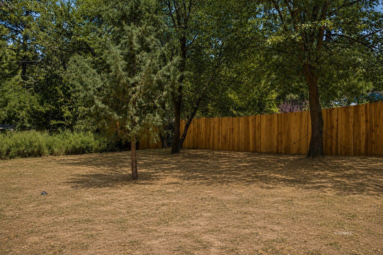 53480 Tollgate Road Idyllwild, CA 92549 - Photo 21 of 26 a backyard of a house