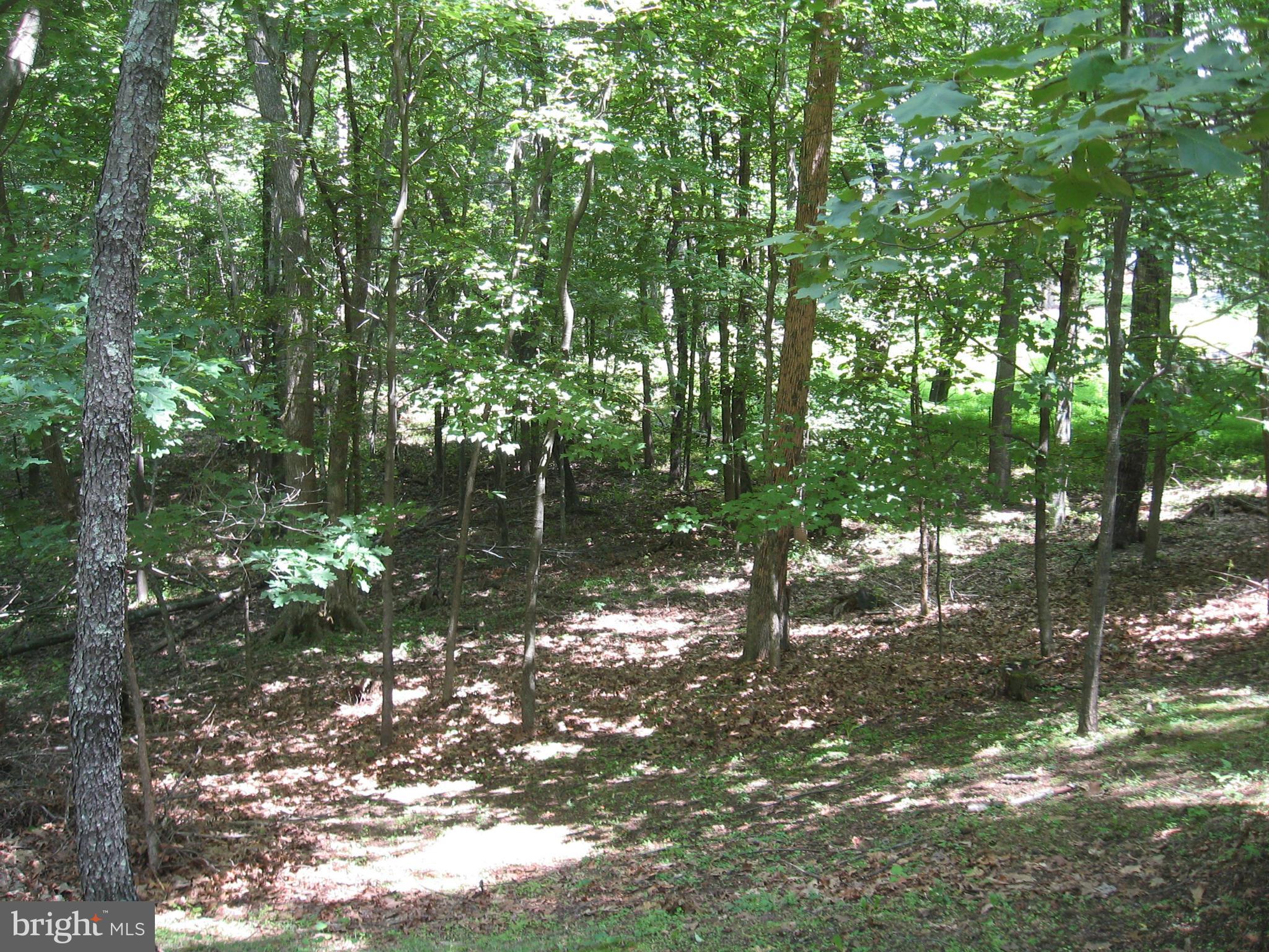 92 Funk Berkeley Springs Berkeley Springs, WV 25411 - Photo 12 of 30 View