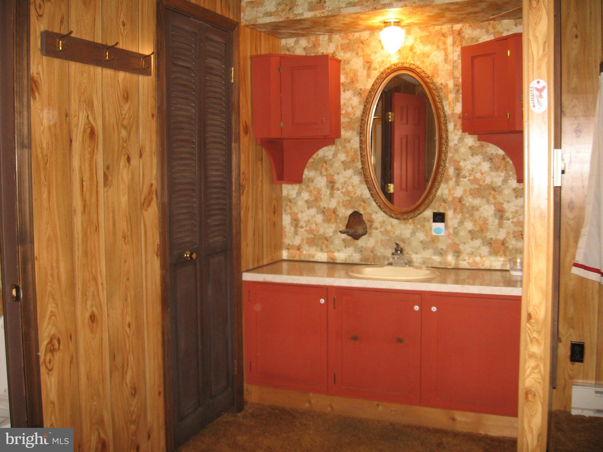 92 Funk Berkeley Springs Berkeley Springs, WV 25411 - Photo 24 of 30 Bath (Master)