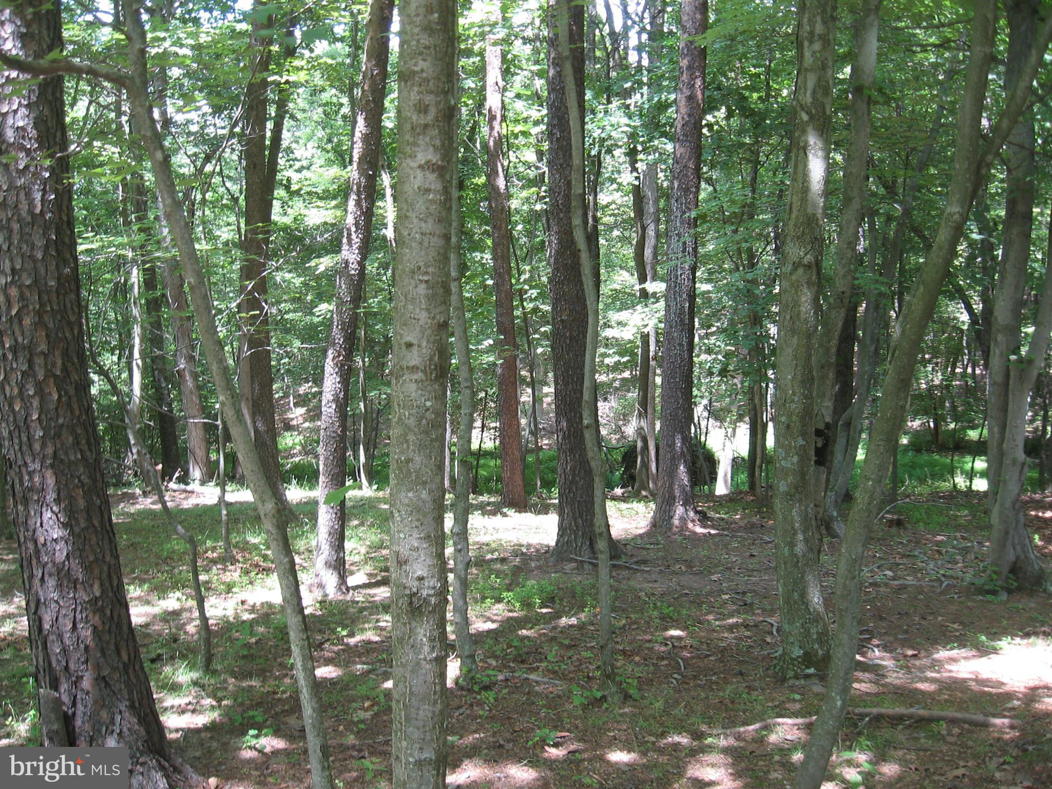 92 Funk Berkeley Springs Berkeley Springs, WV 25411 - Photo 30 of 30 View