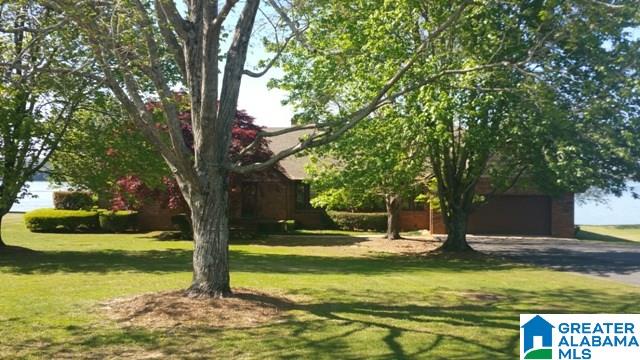 204 Viewpoint Circle Pell City, AL 35128 - Photo 48 of 49