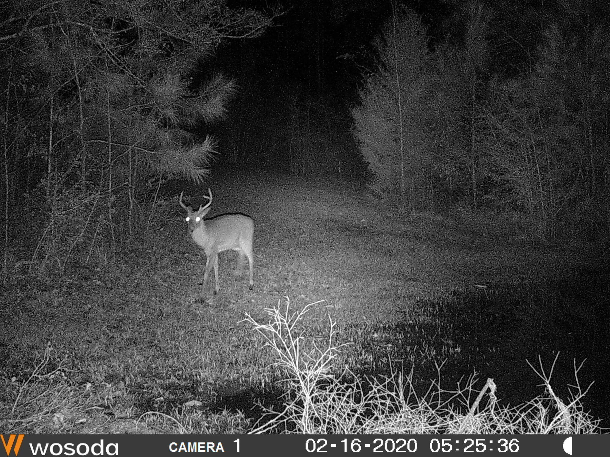 3279 Bob Sikes Road DeFuniak Springs, FL 32435 - Photo 26 of 35 1000038835