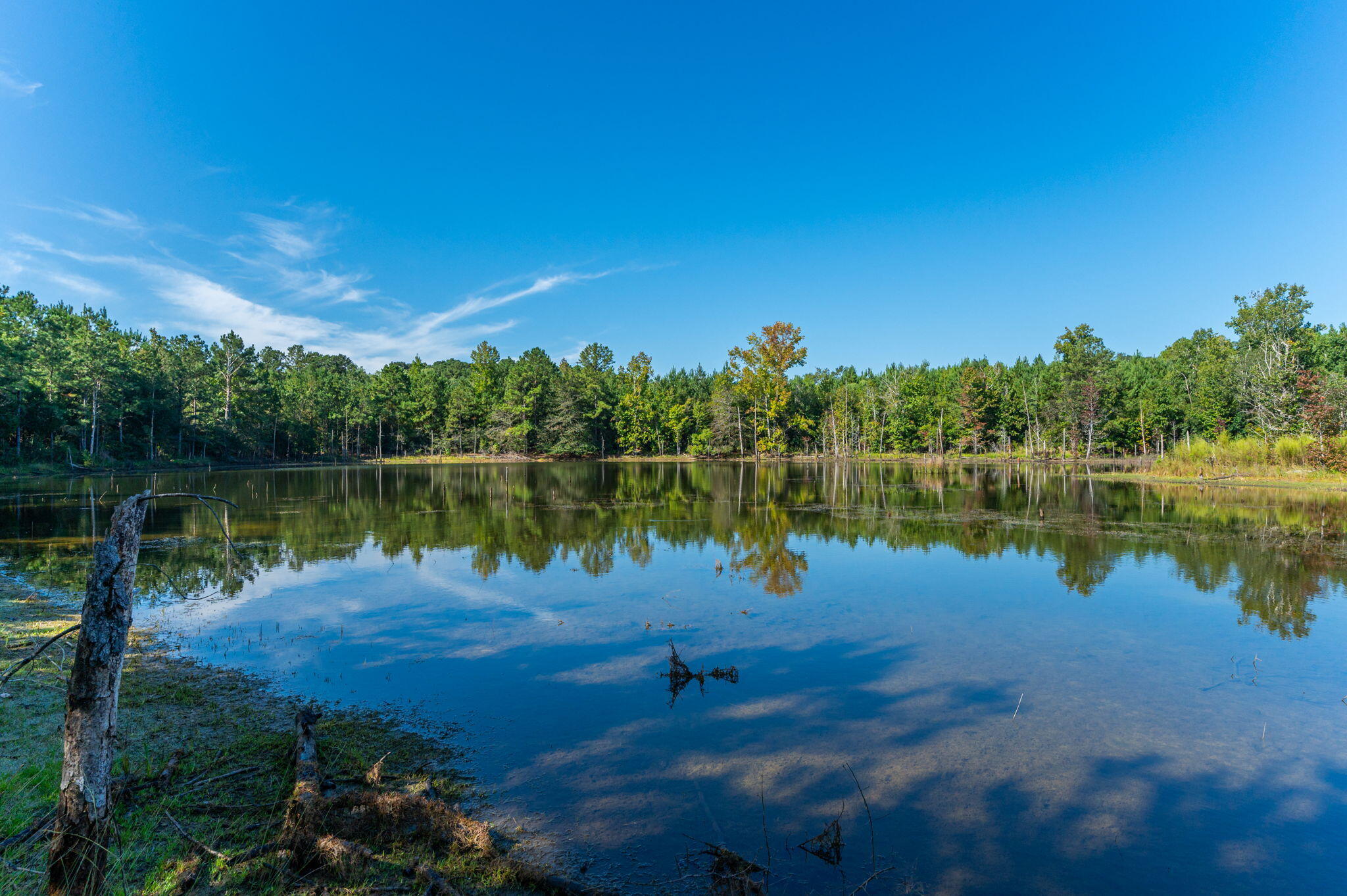 3279 Bob Sikes Road DeFuniak Springs, FL 32435 - Photo 6 of 35 1000038803