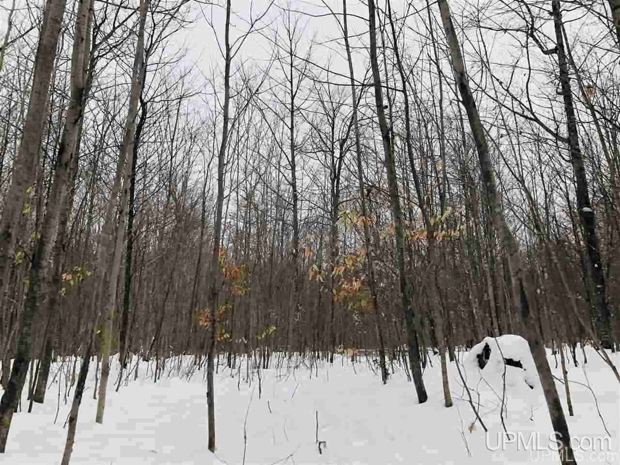 Tbd East Edge Road Germfask, MI 49836 - Photo 4 of 5