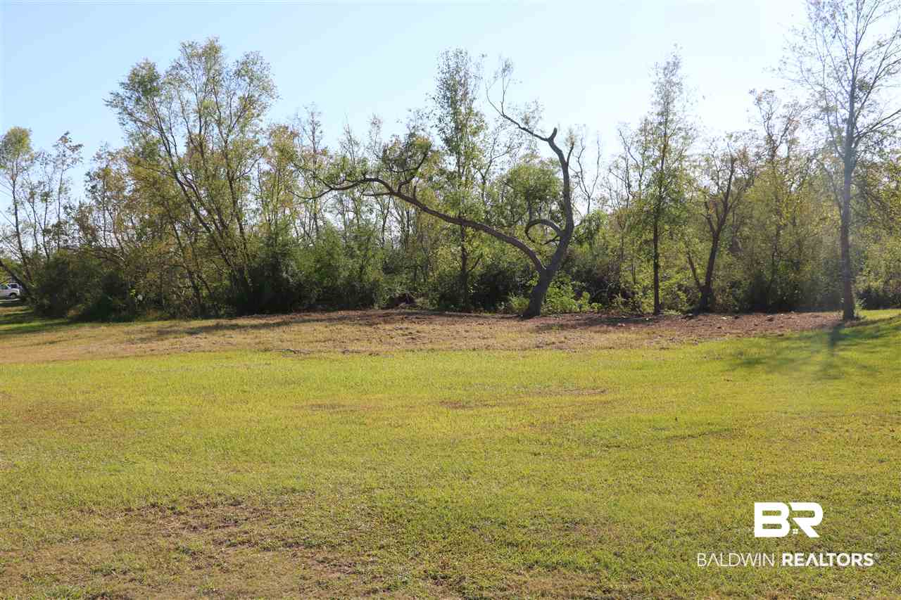 Lot 41 Thames Drive Foley, AL 36535 - Photo 11 of 14